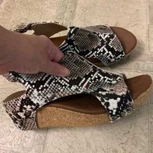 Women’s shoes Never Wore Before